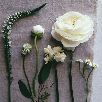 开元·app手机app下载